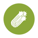 Apio y productos derivados Apio y productos derivados