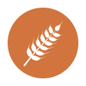 Gluten Gluten