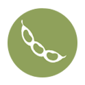 Soja y productos derivados de la soja Soja y productos derivados de la soja